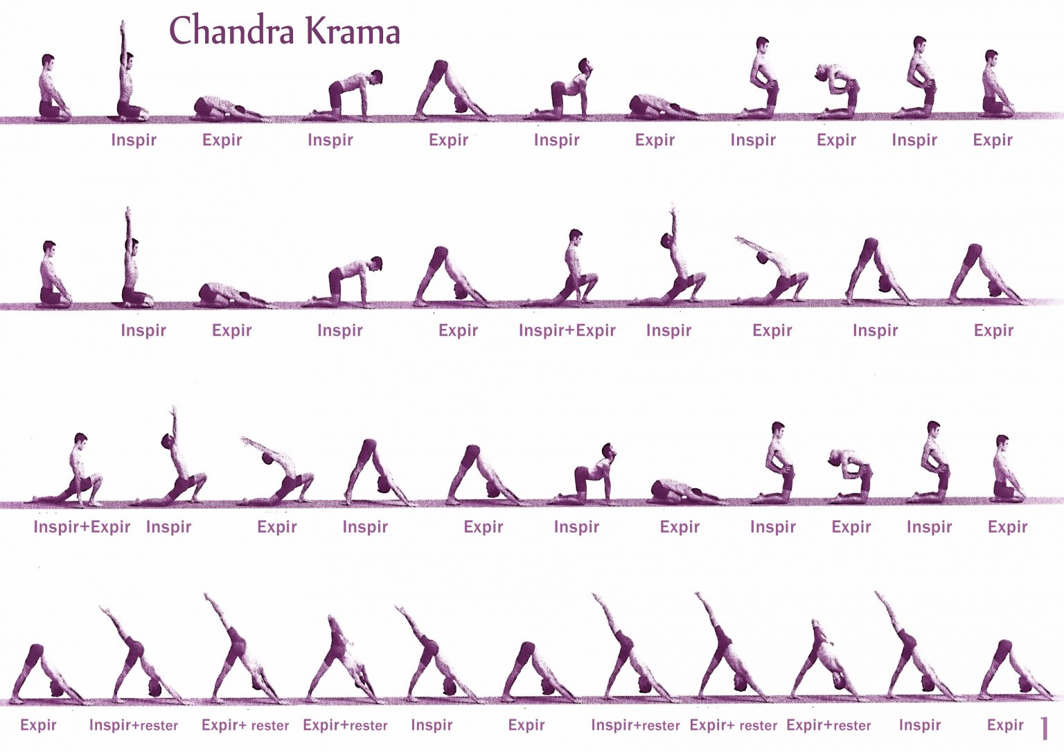 Séquences Vinyasa Krama Ashtanga Yoga Aix